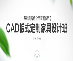 CADƼҾưVIPγ