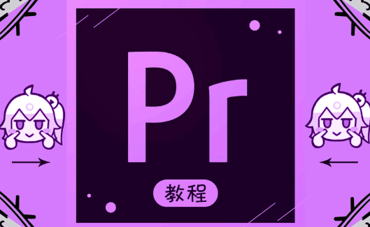 PR_Premiere߼ϵͳ̳57