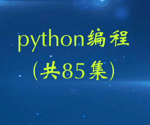 python(85)