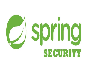 Spring Securityʵս̳