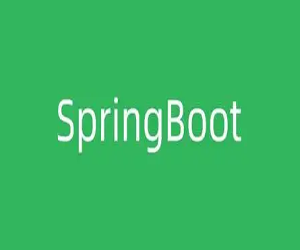 SpringBootʵս