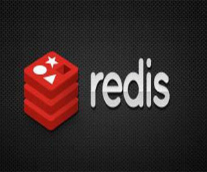 Redis 6̴̳ŵʵս